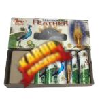 Feather Peacock - பித்தர் பீகாக்